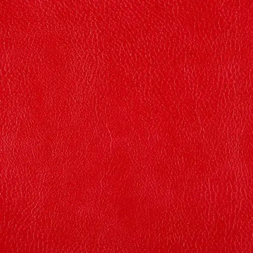 Бизон 17